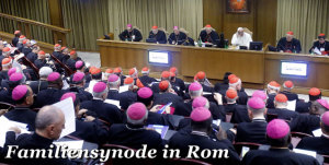 Rom im Oktober 2014: Papst Franziskus debattiert mit seinen Bischöfen über Liebe, Ehe und Sex. Kann das gutgehen? Und wohin wird es führen? Etwa zu einer neuen Lehre der römischen Kirche? (Foto: pa/dpa/Fabio Frustaci)