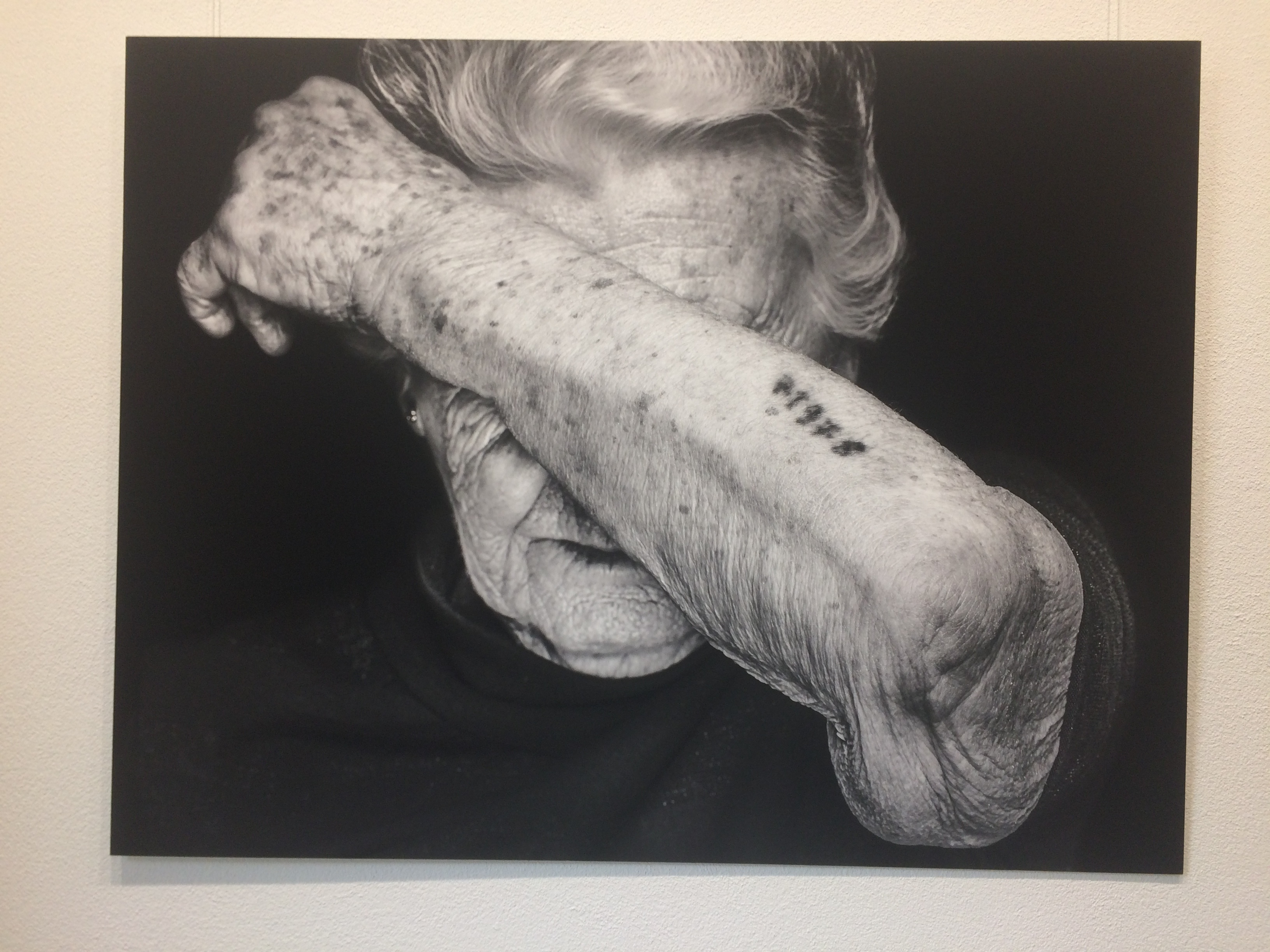 Porträt Ausstellung ETH