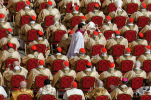 kardinaele_body.5191361