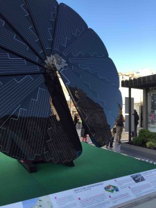 Solarblume vor dem Pariser Rathaus (Bilder: Rehsche)